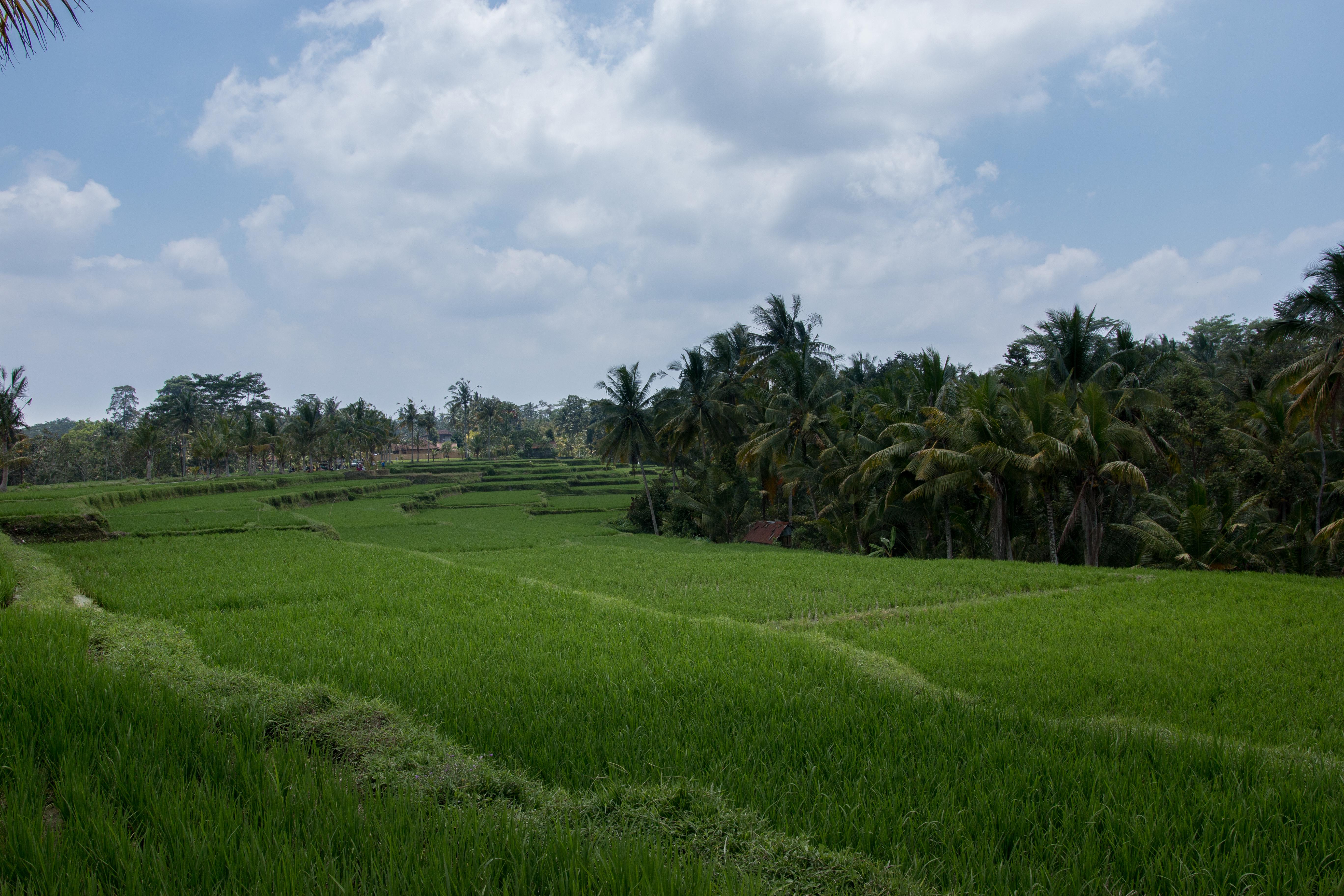 Onje Resort And Villas Ubud  Exterior photo