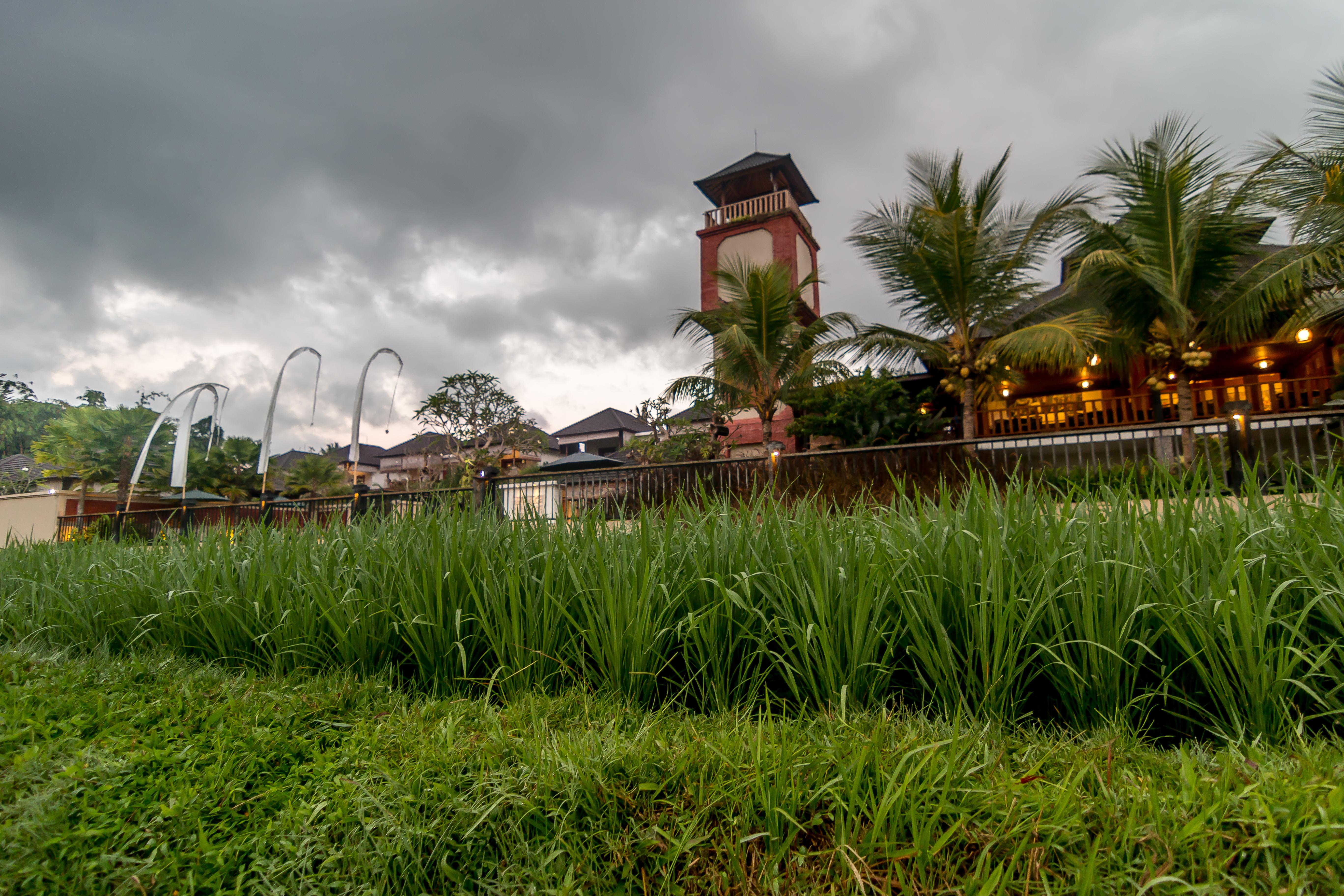 Onje Resort And Villas Ubud  Exterior photo