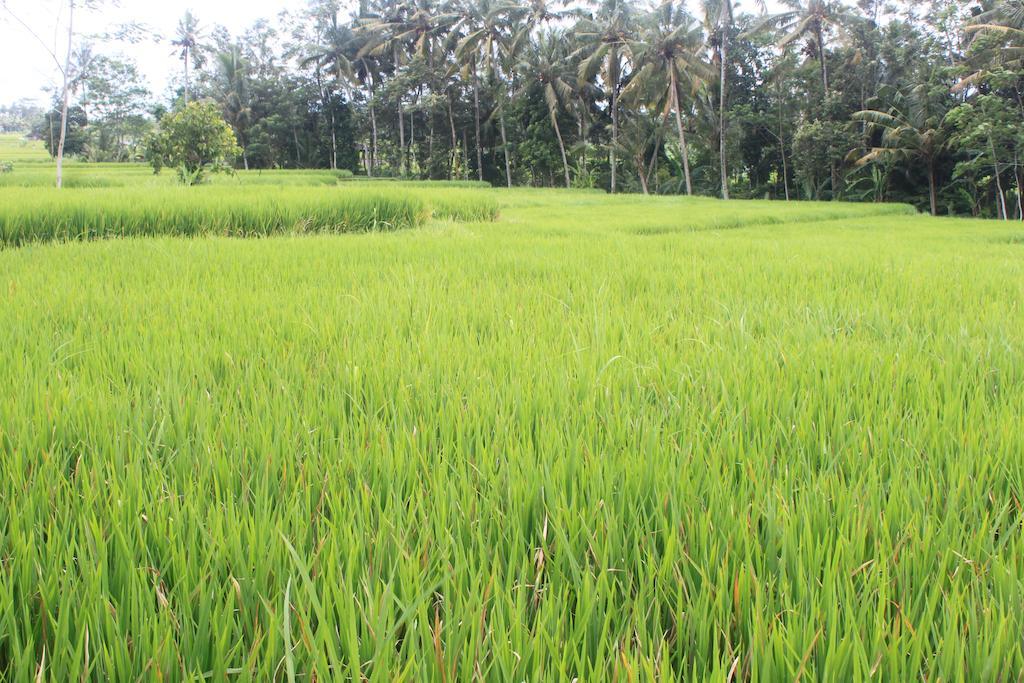 Onje Resort And Villas Ubud  Exterior photo